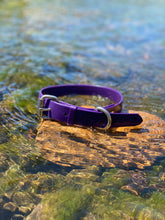 Load image into Gallery viewer, Purple Dog Collar