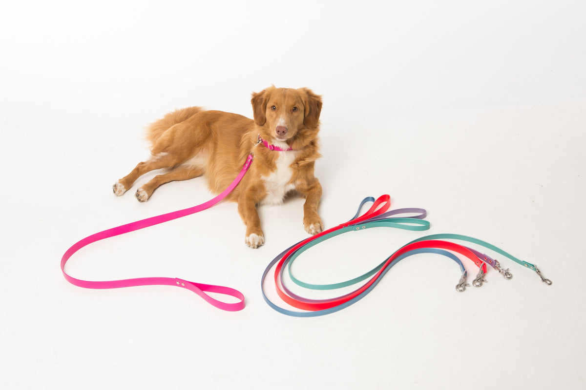 Leads (NEW) – Coopers Collars