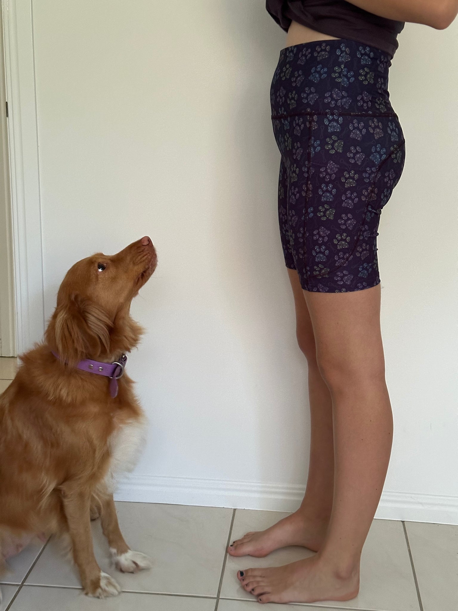 Little Black Dress Short Dress With Shorts Underneath Blue Scribble Bike Shorts Coopers Collars Little Black Dress Short Dress With Shorts Underneath Blue Scribble Bike Shorts Coopers Collars