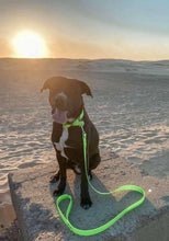 Load image into Gallery viewer, Dog Lead Thin 16mm