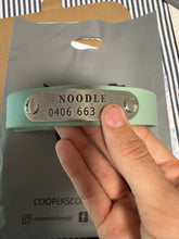 Load image into Gallery viewer, Collar and SS Name Tag *Most Popular*