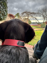 Load image into Gallery viewer, Coral Dog Collar