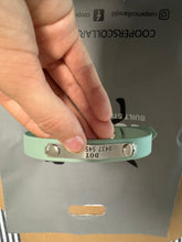 Load image into Gallery viewer, Sage Dog Collar