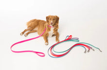 Load image into Gallery viewer, Collar and Lead Deal