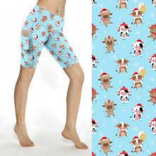 Load image into Gallery viewer, Christmas 2025