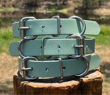 Load image into Gallery viewer, Sage Dog Collar