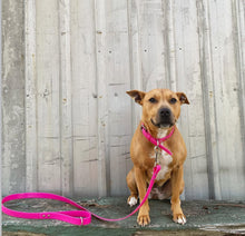 Load image into Gallery viewer, Hot Pink Dog Collar