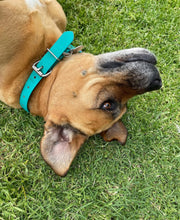 Load image into Gallery viewer, Teal Green Dog Collar