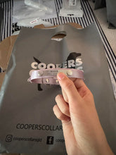 Load image into Gallery viewer, Collar and Lead Deal