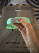Load image into Gallery viewer, Mint Dog Collar