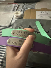 Load image into Gallery viewer, Mint Dog Collar
