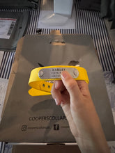 Load image into Gallery viewer, Yellow Dog Collar