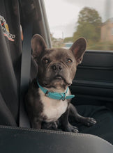 Load image into Gallery viewer, Teal Green Dog Collar