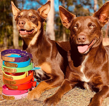 Load image into Gallery viewer, Fluro Yellow Dog Collar