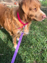 Load image into Gallery viewer, Hot Pink Dog Collar
