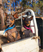 Load image into Gallery viewer, Cyan Blue (Light Blue) Dog Collar