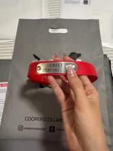 Load image into Gallery viewer, Red Dog Collar