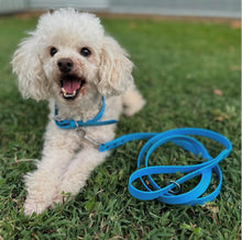 Load image into Gallery viewer, Dog Lead Thick 25mm Wide