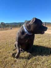 Load image into Gallery viewer, Periwinkle Dog Collar