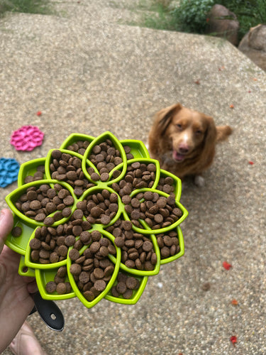 Mandala Slow Feeder Enrichment Bowl