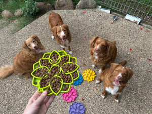 Mandala Slow Feeder Enrichment Bowl