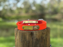 Load image into Gallery viewer, Collars + Brass Plates Bundle Deal