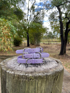 Lavender Shimmer Dog Collar