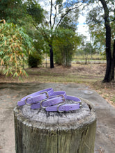 Load image into Gallery viewer, Lavender Shimmer Dog Collar