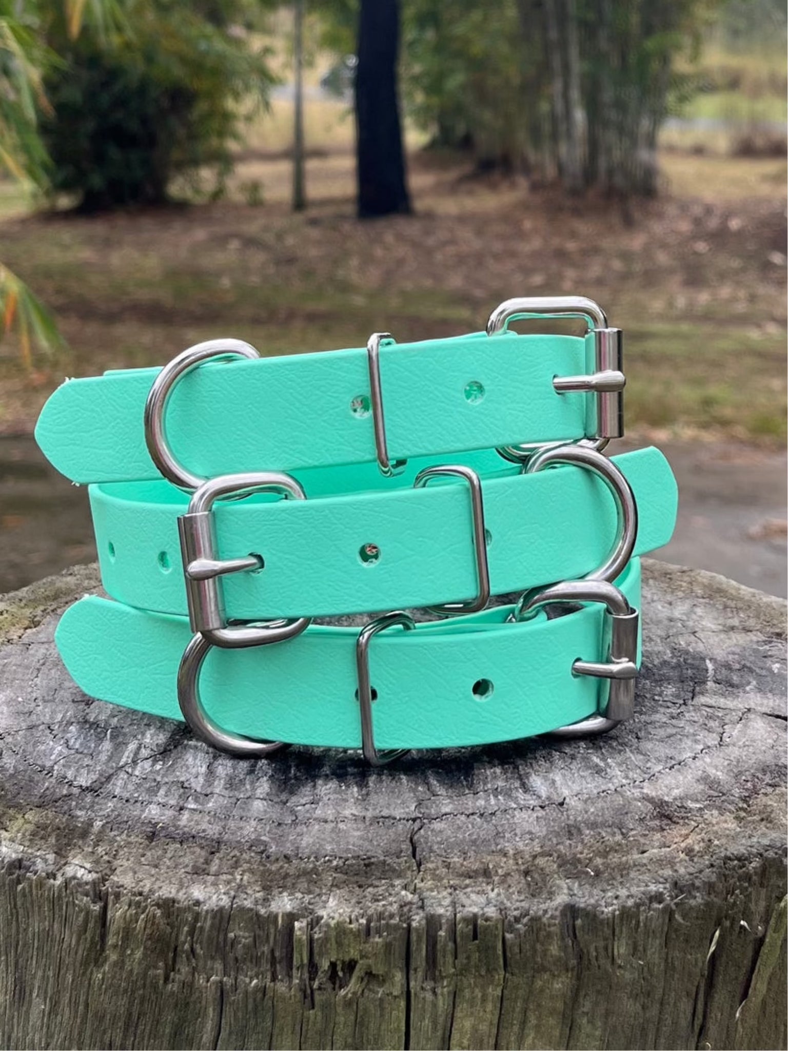 Mint Dog Collar Coopers Collars