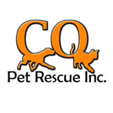 Round Up for CQ Pet Rescue