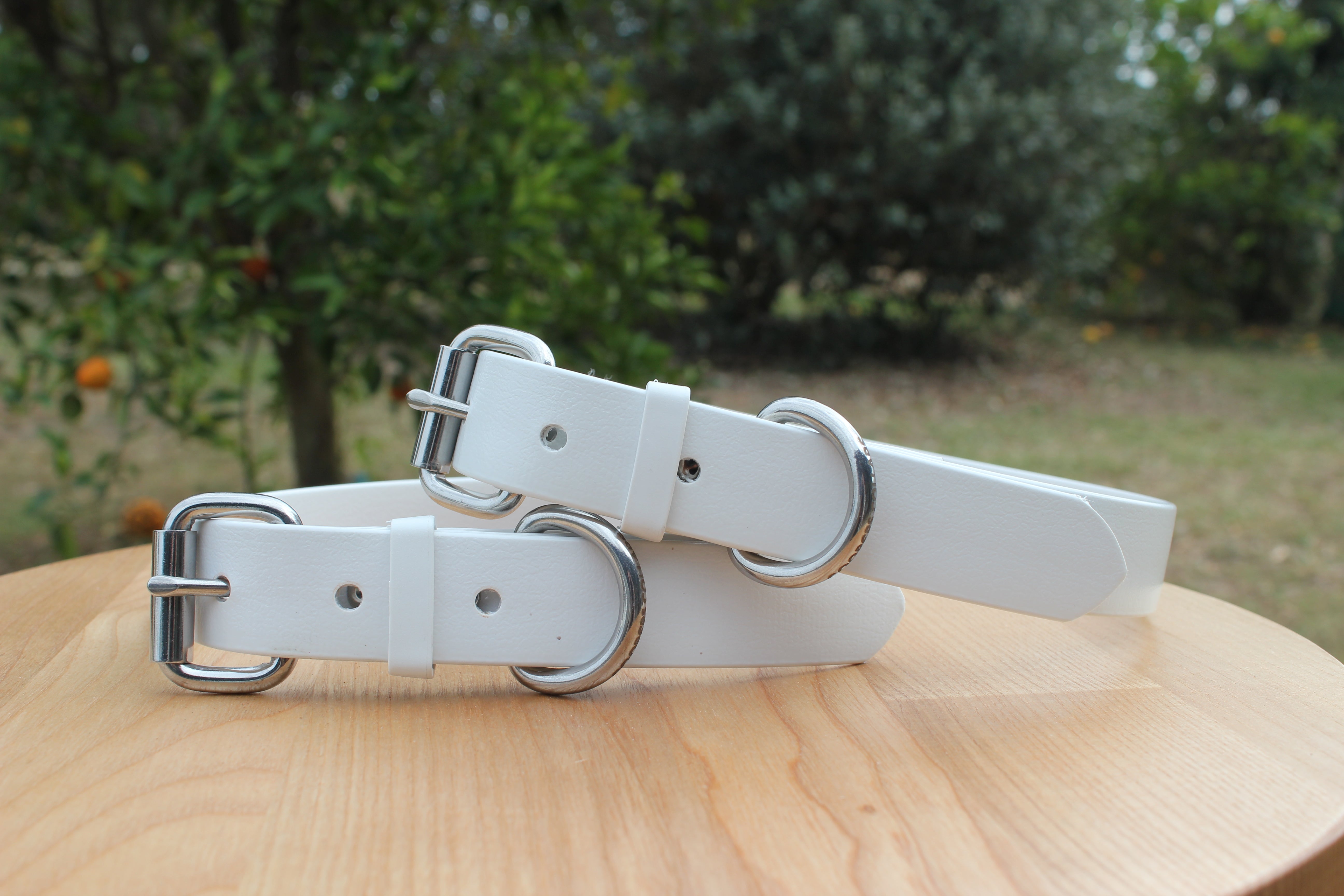 White hot sale collar dog