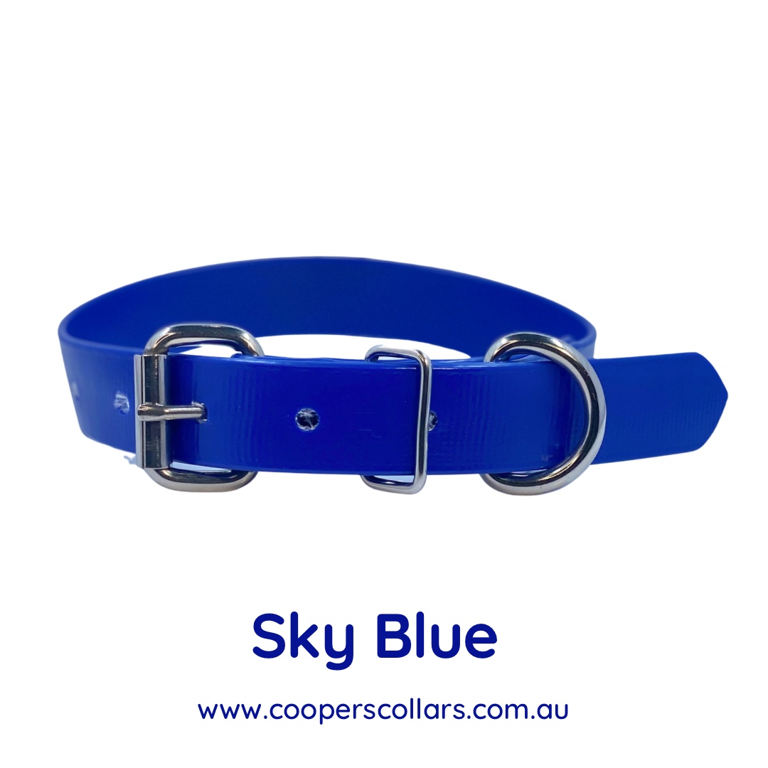 Sky Blue (Royal Blue) Dog Collar – Coopers Collars