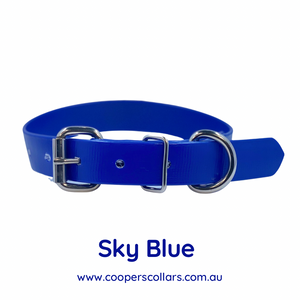 Sky Blue (Royal Blue) Dog Collar