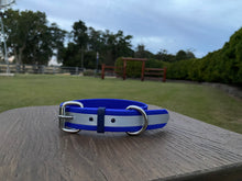 Load image into Gallery viewer, Reflective Safety Collar SKY BLUE