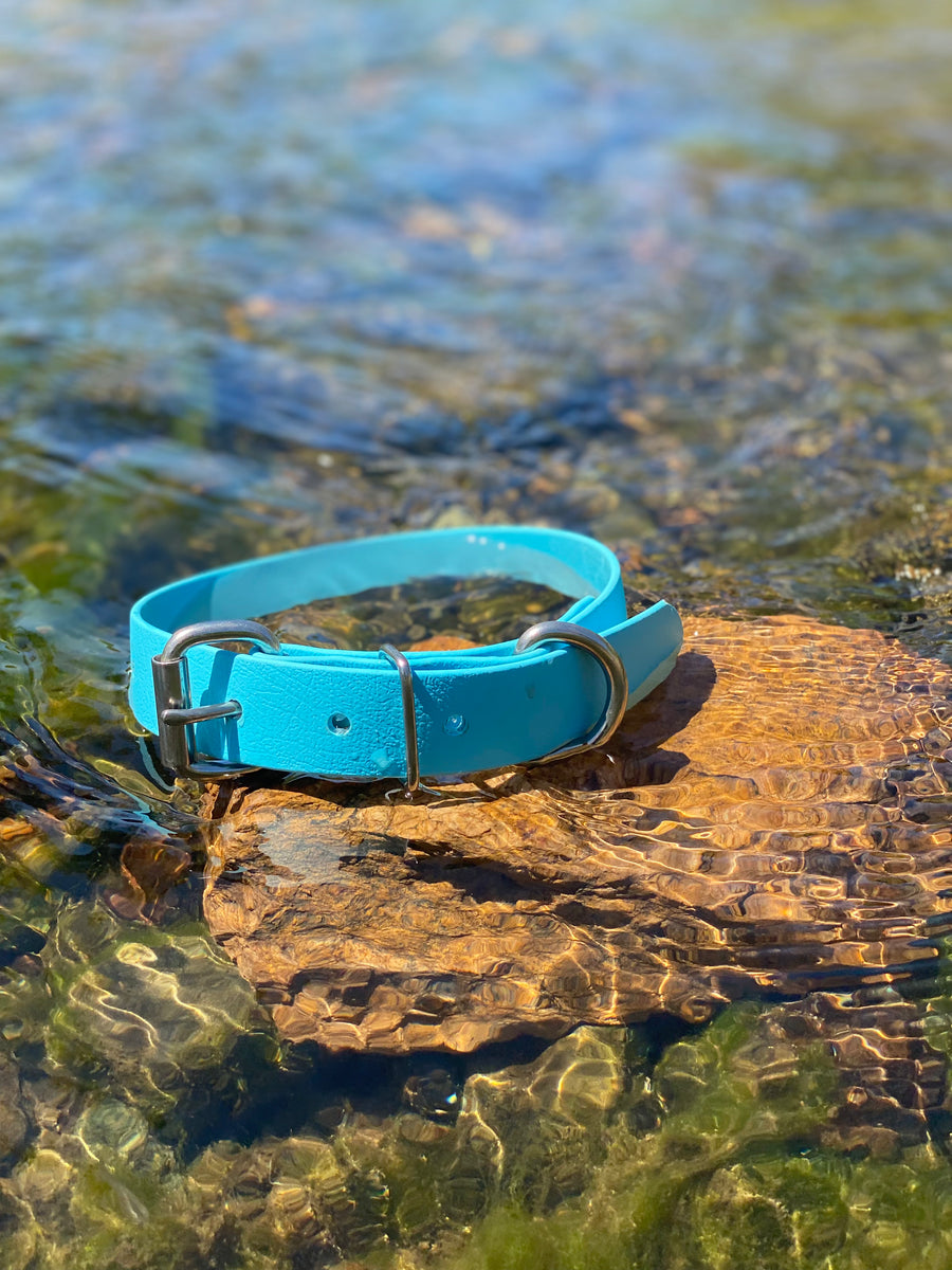Ice Blue Dog Collar – Coopers Collars
