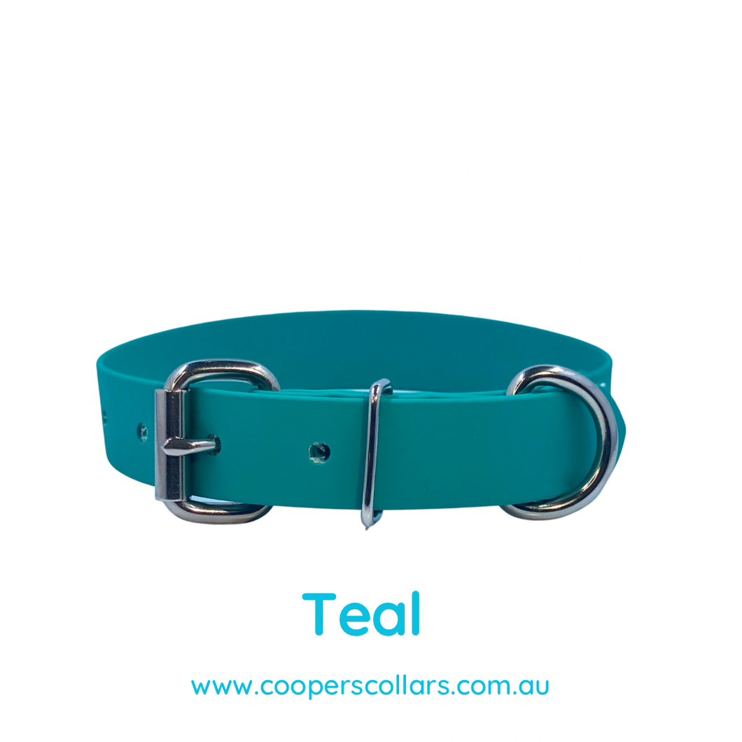 Teal dog collar best sale and leash