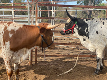Load image into Gallery viewer, Cattle Halter Medium (Cow)