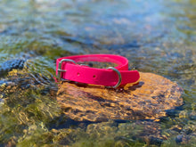 Load image into Gallery viewer, Hot Pink Dog Collar