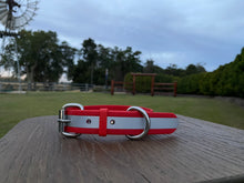 Load image into Gallery viewer, Reflective Safety Collar RED