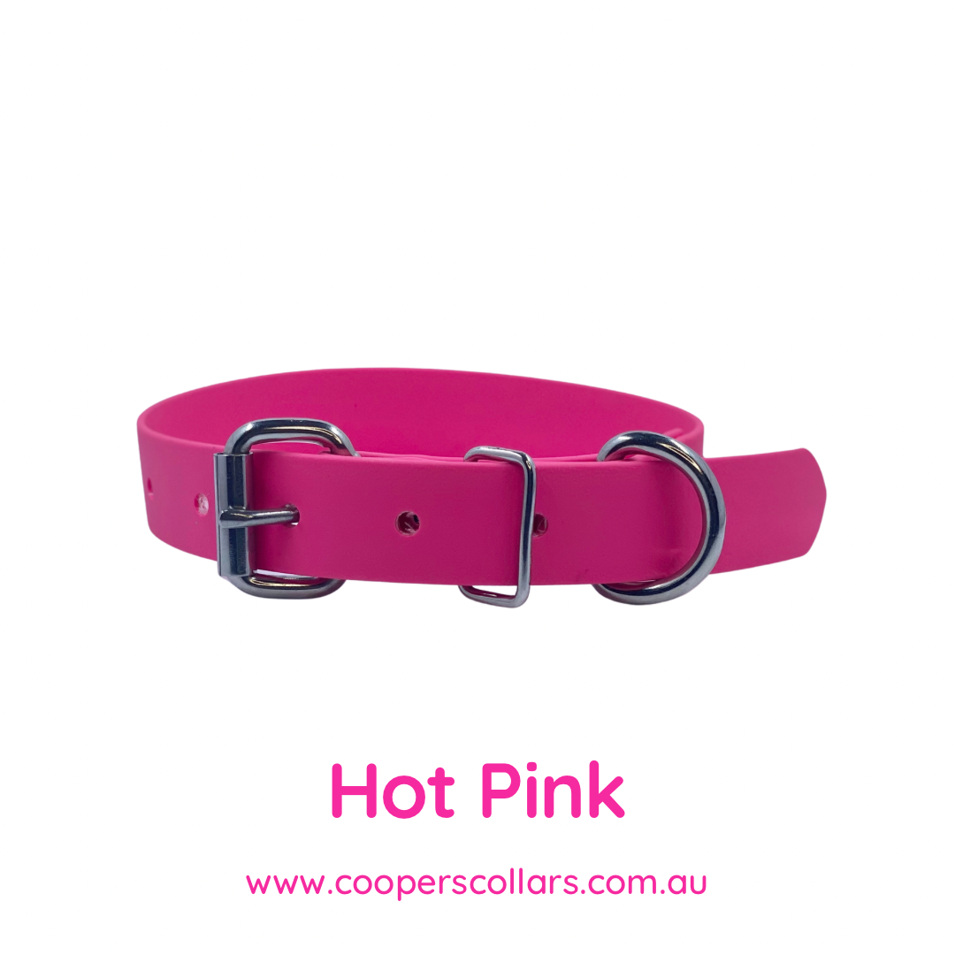 Hot Pink Dog Collar – Coopers Collars