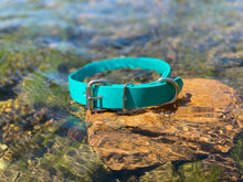 Load image into Gallery viewer, Teal Green Dog Collar