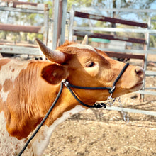 Load image into Gallery viewer, Cattle Halter Medium (Cow)